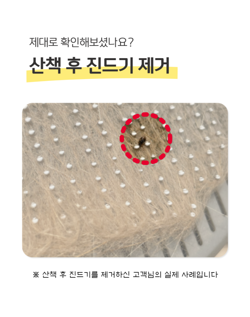 ae8cb0f14d3814e3ceb9bcfa3fc86e75_1721271102_7602.png
