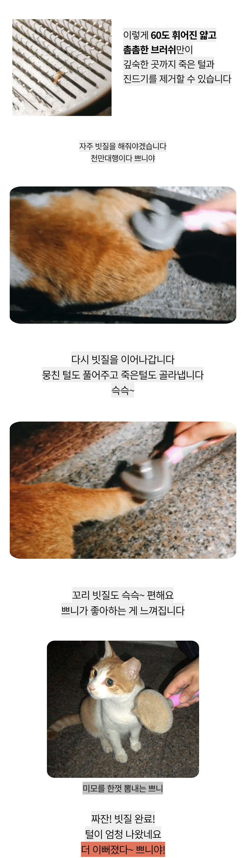 ae8cb0f14d3814e3ceb9bcfa3fc86e75_1721271178_2099.png