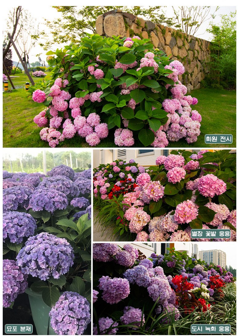 6b25945c6201426bd8bdcecafc2b8cfa_1743472499_8964.jpg