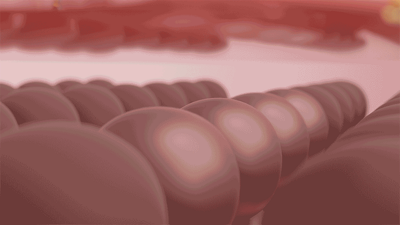 7d71a1dadb7a9e4eaf2ab97d7261e00f_1750730309_8577.png