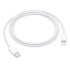 Apple 정품 Lightning-C타입 충전 케이블, 1m, 1개