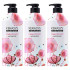 케라시스 퍼퓸 샴푸 러블리 앤 로맨틱향, 980ml, 3개